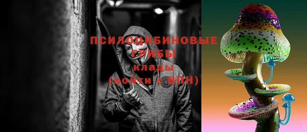 мдпв Богданович