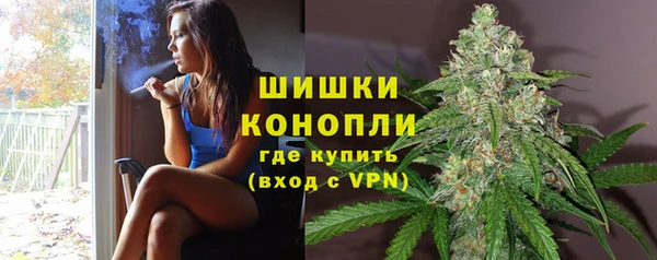 крисы Богородск